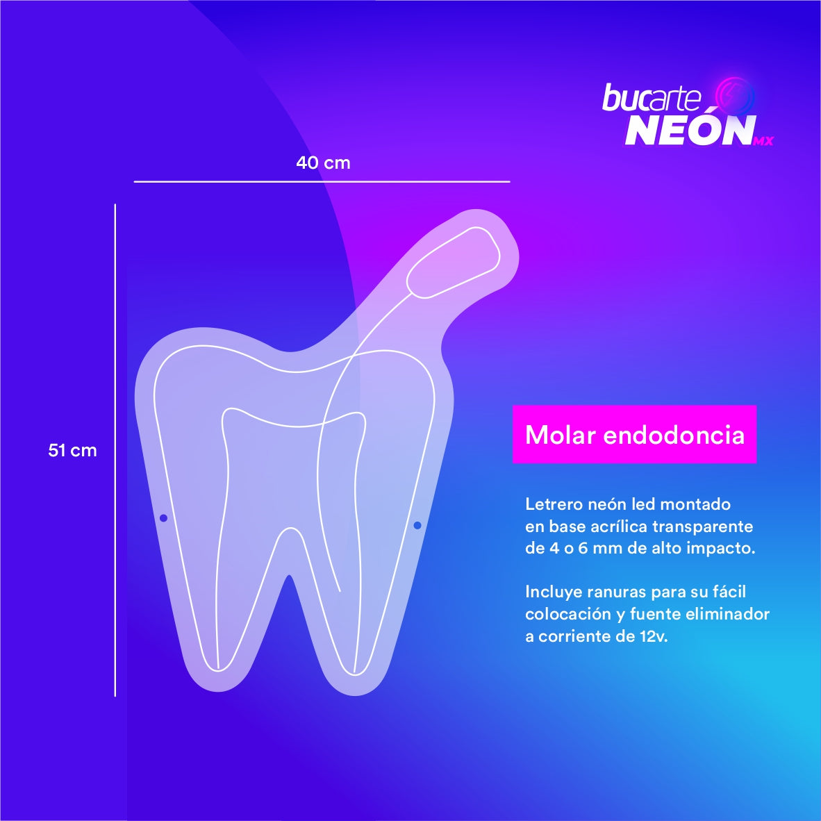 Molar endodoncia